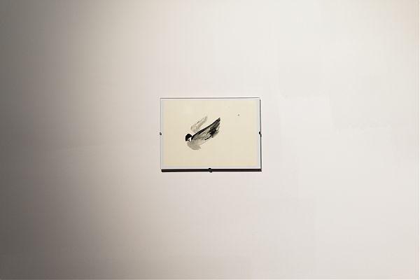 обірваний край. Тетяна Пухнавцева