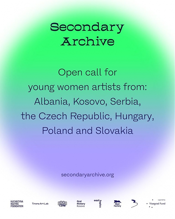Open call for women artists for secondaryarchive.org